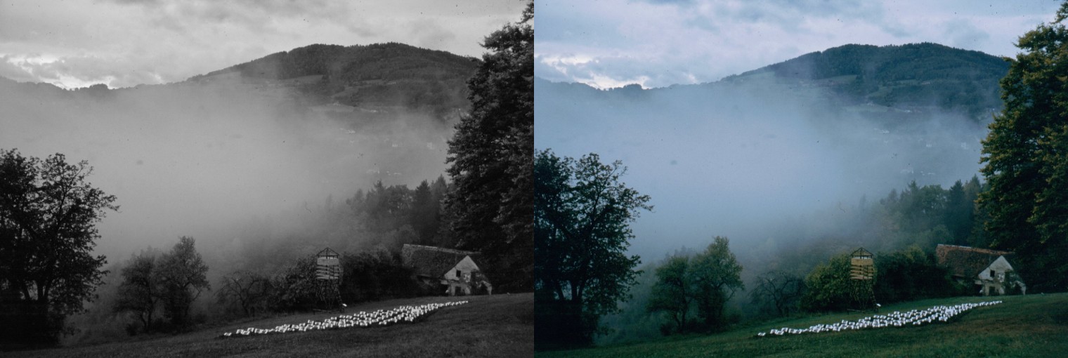 Projekt Erde, "Lebende" 1997/2007/2010